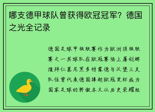 哪支德甲球队曾获得欧冠冠军？德国之光全记录